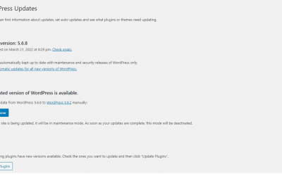 how to update wordpress